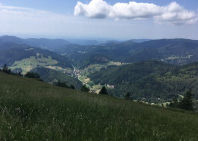 Blick vom Belchen2