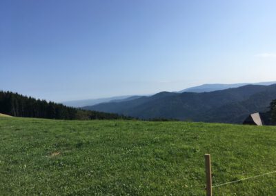 Geiersnest richtung freiburg