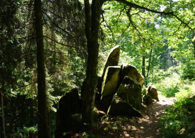 Hochblauen Wald