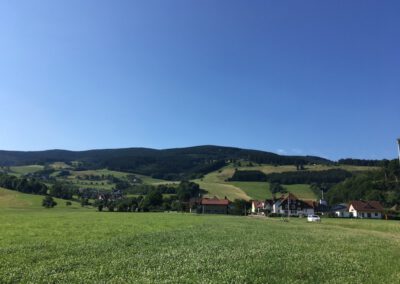 Richtung Oberried 2