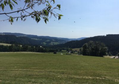 Rinken Richtung Hinterzarten