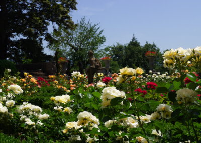 Schloss Bürgeln_Rosengarten